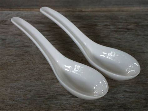 Set Of Two Porcelain Spoons 